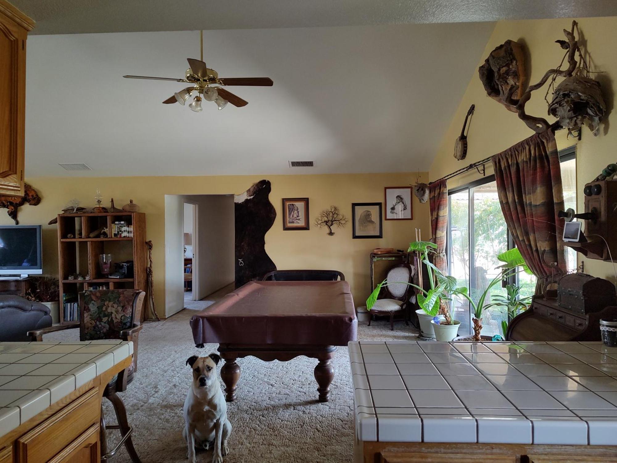 סקוו ואלי The Branded Calf Bed & Breakfast מראה חיצוני תמונה